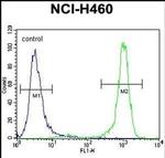 CHRND Antibody in Flow Cytometry (Flow)