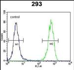 TWF2 Antibody in Flow Cytometry (Flow)