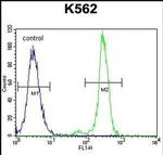 Carboxypeptidase A3 Antibody in Flow Cytometry (Flow)