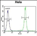 PCDHB10 Antibody in Flow Cytometry (Flow)