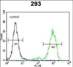 SPDYE5 Antibody in Flow Cytometry (Flow)