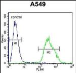 PALM3 Antibody in Flow Cytometry (Flow)