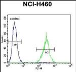 SOX1 Antibody in Flow Cytometry (Flow)