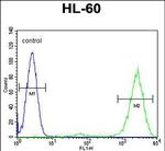 PTMA Antibody in Flow Cytometry (Flow)