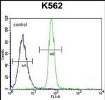 LRRC63 Antibody in Flow Cytometry (Flow)