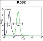 UAP1L1 Antibody in Flow Cytometry (Flow)