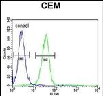 MGP Antibody in Flow Cytometry (Flow)
