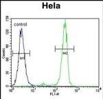 CRSP9 Antibody in Flow Cytometry (Flow)