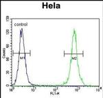 TRADD Antibody in Flow Cytometry (Flow)