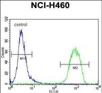 RAD54L Antibody in Flow Cytometry (Flow)