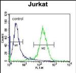 PPP1R3G Antibody in Flow Cytometry (Flow)