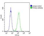 DEPDC5 Antibody in Flow Cytometry (Flow)