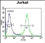 PDE3B Antibody in Flow Cytometry (Flow)