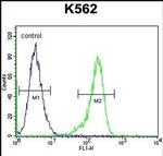 RPS19 Antibody in Flow Cytometry (Flow)