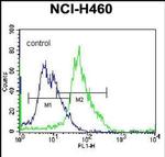 GGH Antibody in Flow Cytometry (Flow)