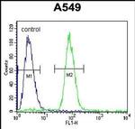 SOX3 Antibody in Flow Cytometry (Flow)