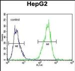 TXNL2 Antibody in Flow Cytometry (Flow)