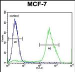 MBD3L3 Antibody in Flow Cytometry (Flow)