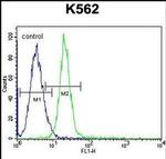 Jagged1 Antibody in Flow Cytometry (Flow)