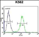 TTBK2 Antibody in Flow Cytometry (Flow)