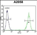 RAB10 Antibody in Flow Cytometry (Flow)