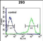 RHOXF2 Antibody in Flow Cytometry (Flow)