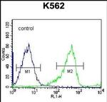 PCDHB14 Antibody in Flow Cytometry (Flow)