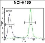 MST1 Antibody in Flow Cytometry (Flow)