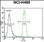 LETM2 Antibody in Flow Cytometry (Flow)