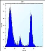 POMT1 Antibody in Flow Cytometry (Flow)