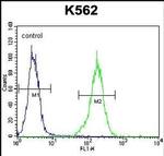 NKAIN1 Antibody in Flow Cytometry (Flow)