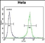 DNAJB6 Antibody in Flow Cytometry (Flow)