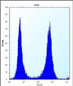 Ficolin 3 Antibody in Flow Cytometry (Flow)