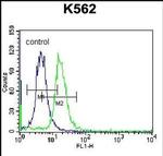 ABCD2 Antibody in Flow Cytometry (Flow)