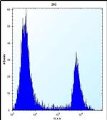 ANGPTL7 Antibody in Flow Cytometry (Flow)
