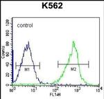 GSTM5 Antibody in Flow Cytometry (Flow)