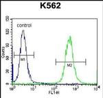 OXA1L Antibody in Flow Cytometry (Flow)