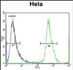 NUP35 Antibody in Flow Cytometry (Flow)