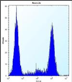 ZCRB1 Antibody in Flow Cytometry (Flow)