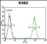 ELAVL2 Antibody in Flow Cytometry (Flow)