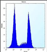 OR10G9 Antibody in Flow Cytometry (Flow)