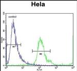 MBNL2 Antibody in Flow Cytometry (Flow)