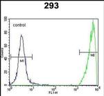 GNAS Antibody in Flow Cytometry (Flow)