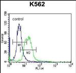 MPP3 Antibody in Flow Cytometry (Flow)