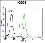 AMELX Antibody in Flow Cytometry (Flow)