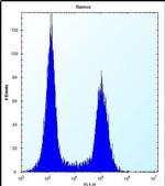 TMEM55B Antibody in Flow Cytometry (Flow)