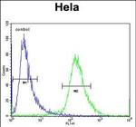 TAF11L2 Antibody in Flow Cytometry (Flow)