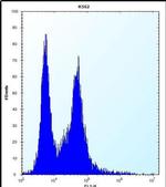 PI15 Antibody in Flow Cytometry (Flow)