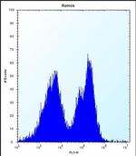 PCDHGA3 Antibody in Flow Cytometry (Flow)