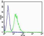 CK1 gamma Antibody in Flow Cytometry (Flow)